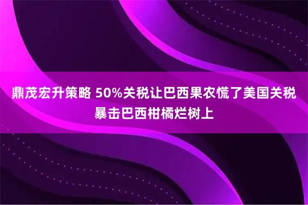 鼎茂宏升策略 50%关税让巴西果农慌了美国关税暴击巴西柑橘烂树上