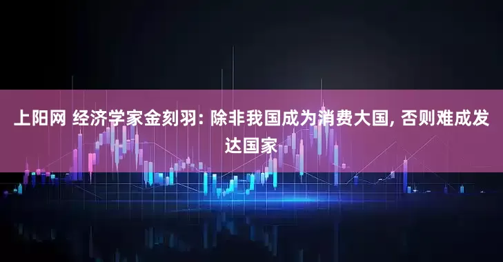 上阳网 经济学家金刻羽: 除非我国成为消费大国, 否则难成发达国家