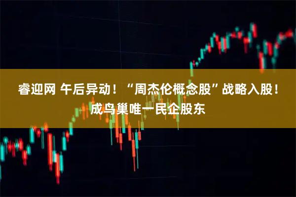睿迎网 午后异动！“周杰伦概念股”战略入股！成鸟巢唯一民企股东