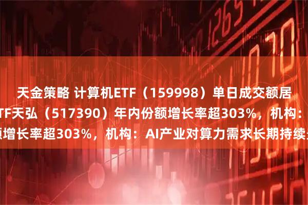 天金策略 计算机ETF（159998）单日成交额居同标的第一， 云计算ETF天弘（517390）年内份额增长率超303%，机构：AI产业对算力需求长期持续景气